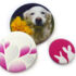 Clothing Magnets